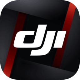 DJI Ronin